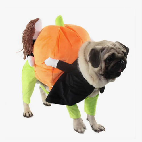Cool Toolz Halloween Pet Dog Costume