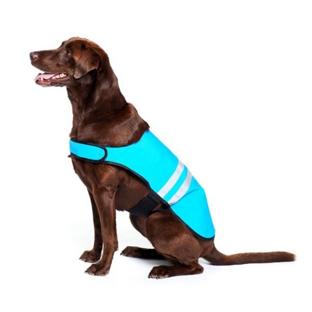 ZippyPaws Adventure Gear Blue Cooling Dog Vest