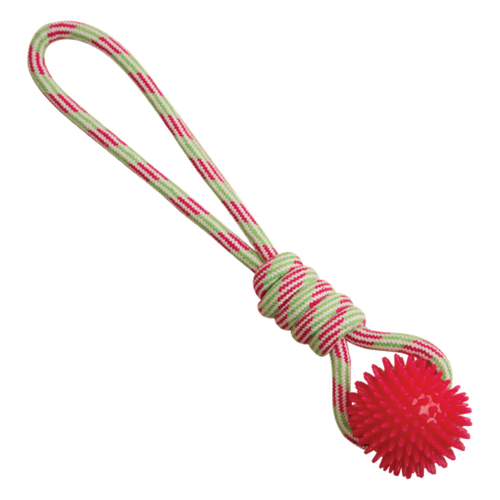 Snugarooz Spike-O-Mite Rope Dog Toy