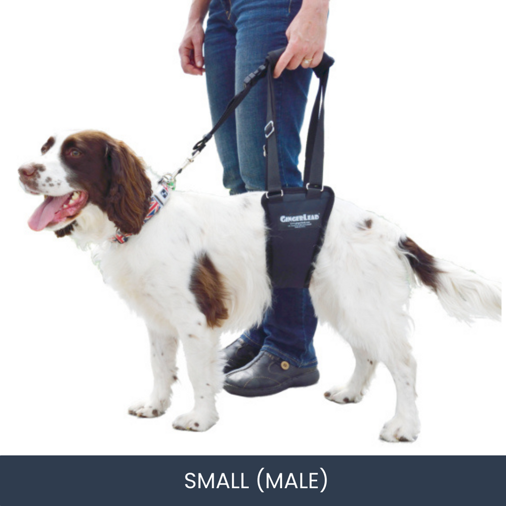 GingerLead Dog Support Sling Harness – Doobert
