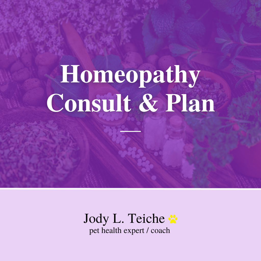 Jody L. Teiche - Homeopathy Consult & Plan