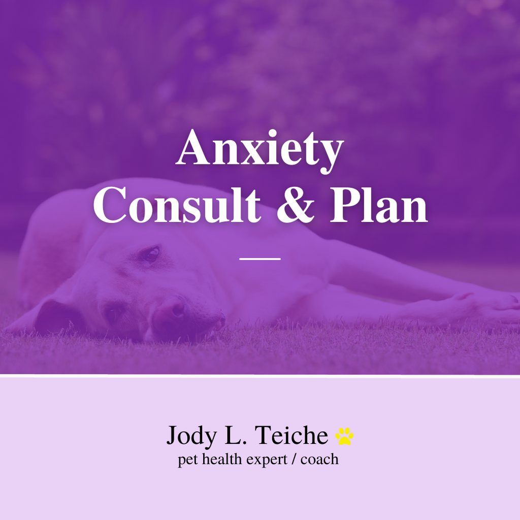 Jody L. Teiche - Anxiety Consult & Plan