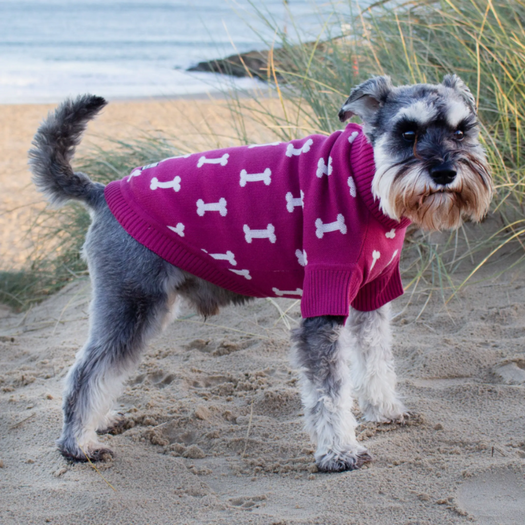 The Woofing Wardrobe Pink Bone Intarsia Organic Cotton Dog Jumper - The Winchmore