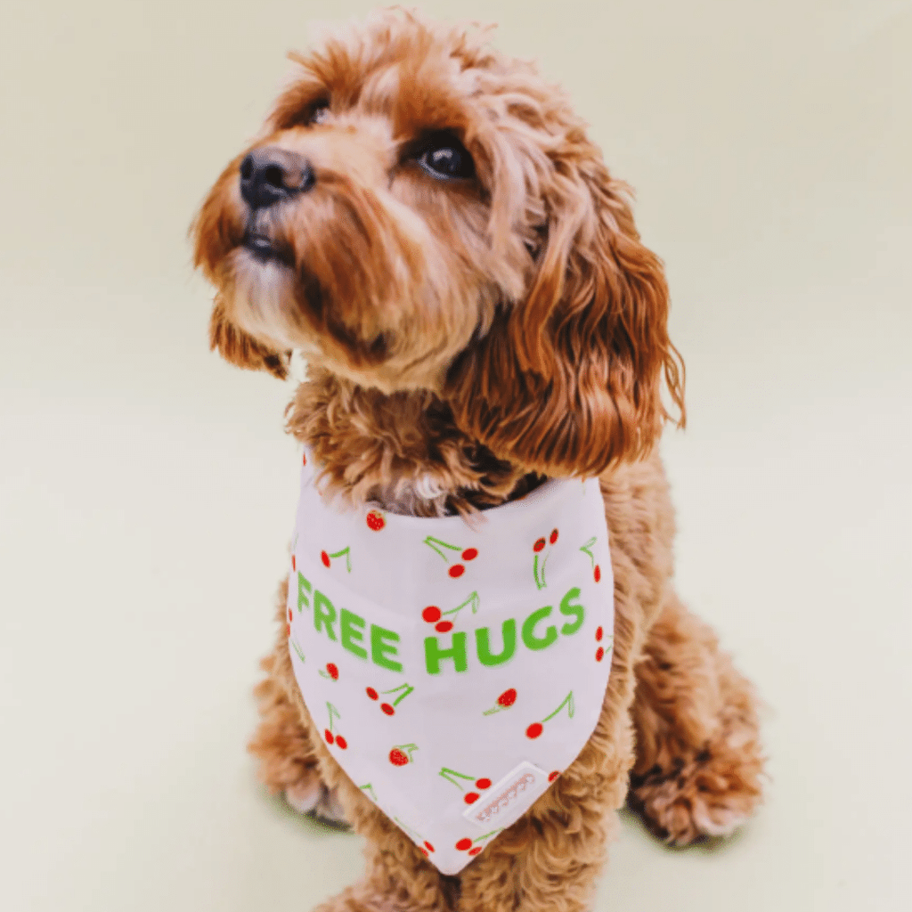 Limpet Store Free Hugs & Love Yourself Double Sided Pet Bandana