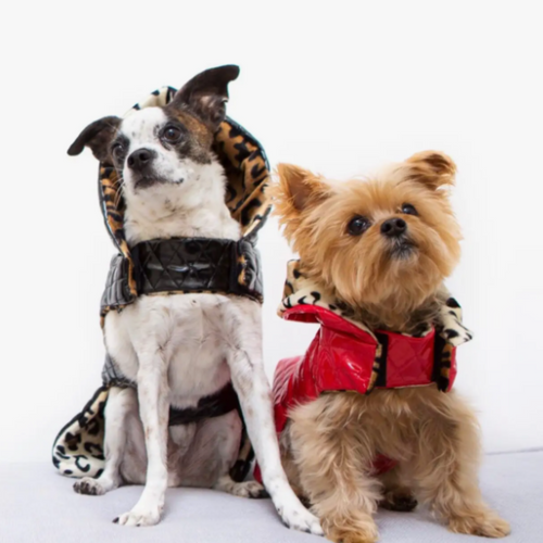 Devious Dogs Work It Quilted Dog Rain Coat Reversible Leopard Fur Coat