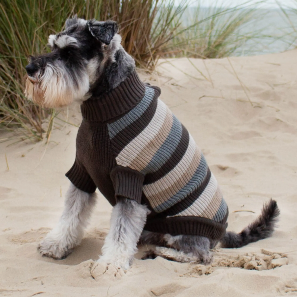 The Woofing Wardrobe Neutrals Striped Organic Cotton Dog Jumper - The Topsham