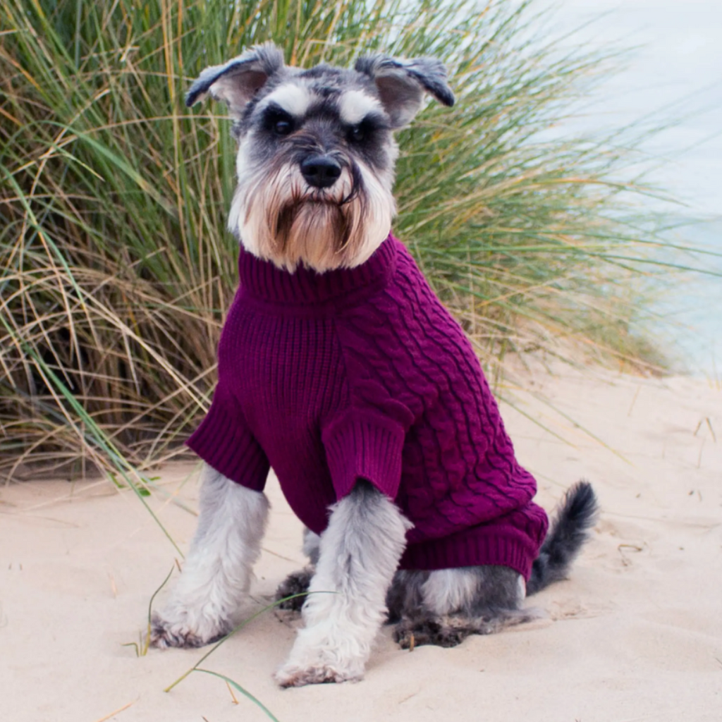 The Woofing Wardrobe Burgundy Organic Cotton Cable Dog Jumper - The Woodbridge