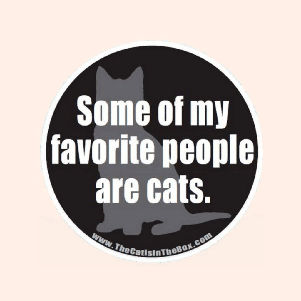 Cat in the Box “Some of My Favorite People Are Cats” Car Magnet