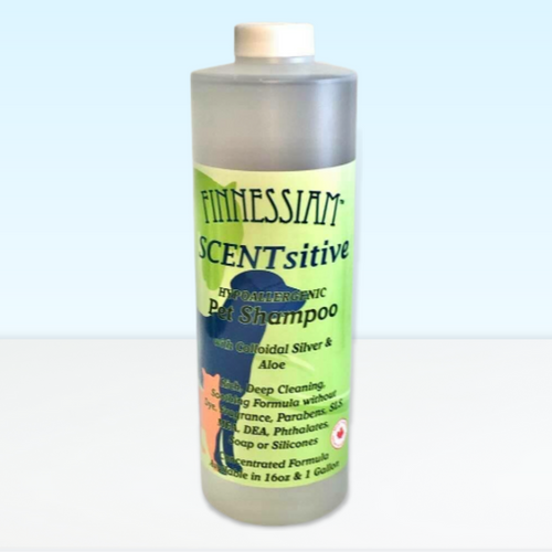 SCENTsitive - Colloidal Silver & Aloe, SLS Free, Hypoallergenic Shampoo - 16oz
