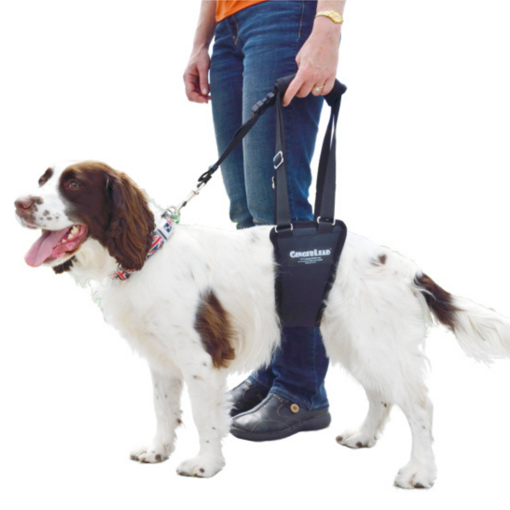 GingerLead Dog Support Sling Harness