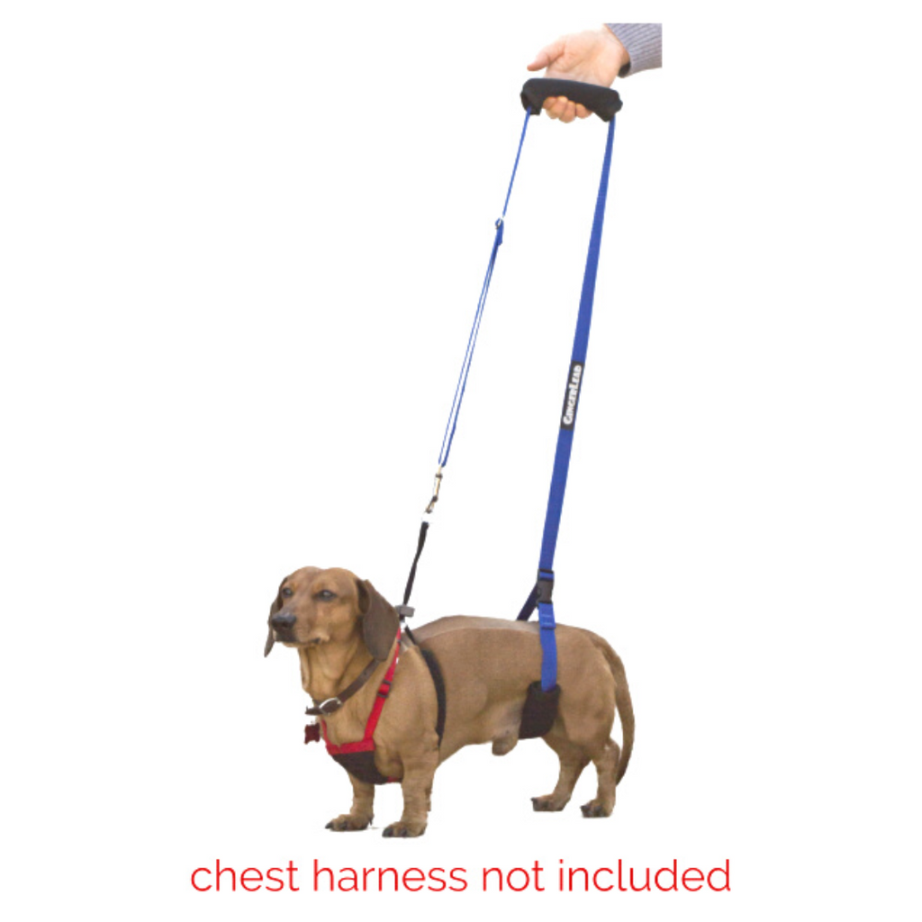 GingerLead Dog Support Sling Harness Mini