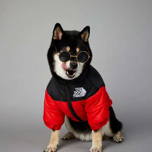 Cheerhunting Ozzie - Fashionable Dog Winter Coat